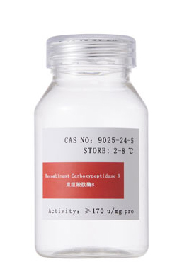 Recombinant Carboxypeptidase B