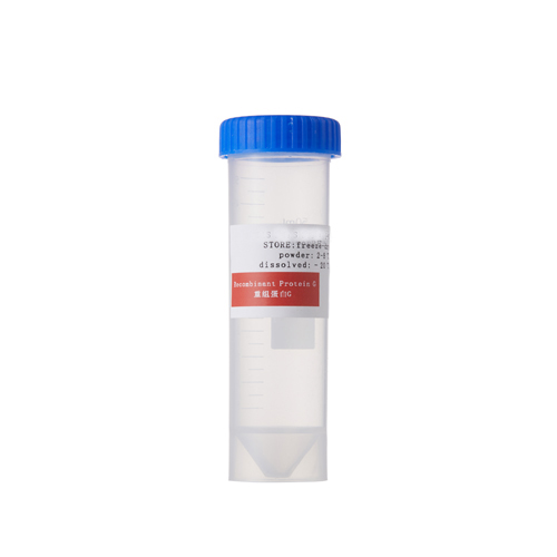 Recombinant Staphylococcus aureus protein G