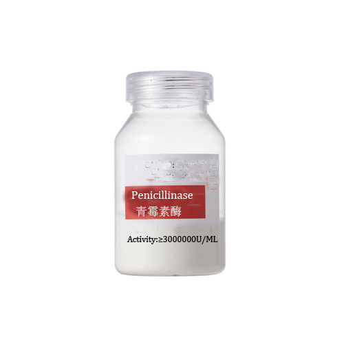 penicillinase