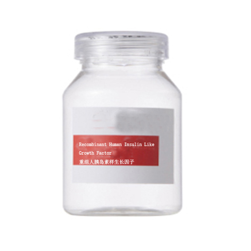 Recombinant insulin-like growth factor