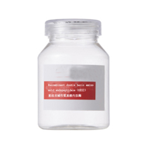 Recombinant double basic amino acid endopeptidase