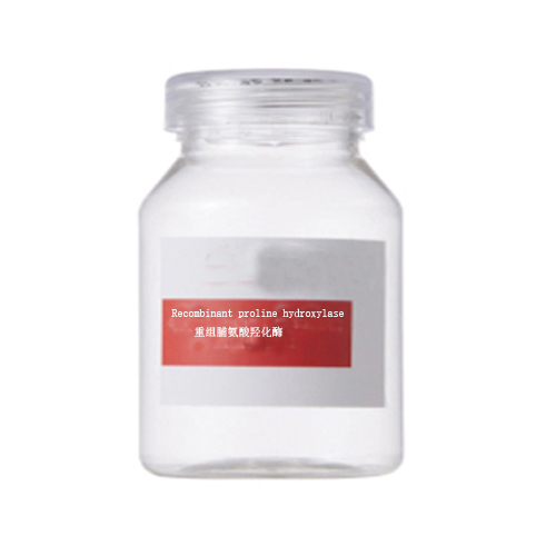 Recombinant proline hydroxylase